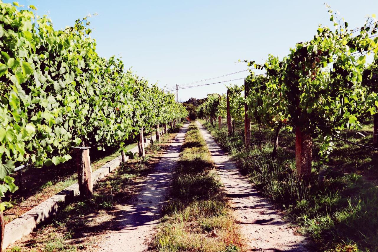 Quinta De Real Villa Valenca Kültér fotó