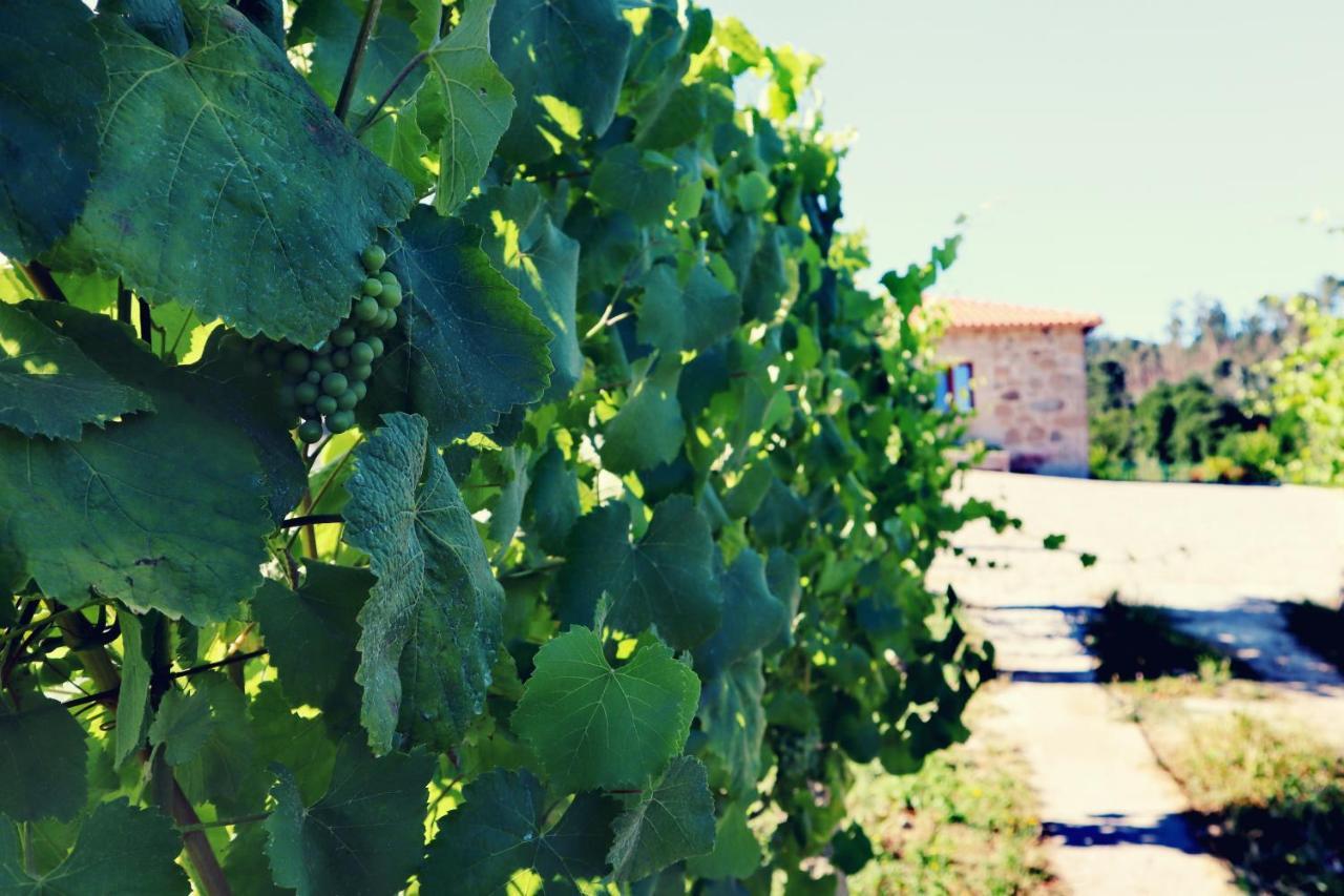 Quinta De Real Villa Valenca Kültér fotó